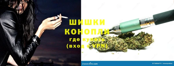 трава Протвино