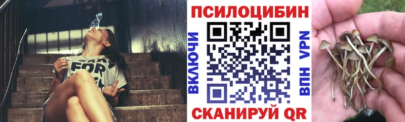 купить  цена  Сковородино  Галлюциногенные грибы MAGIC MUSHROOMS 